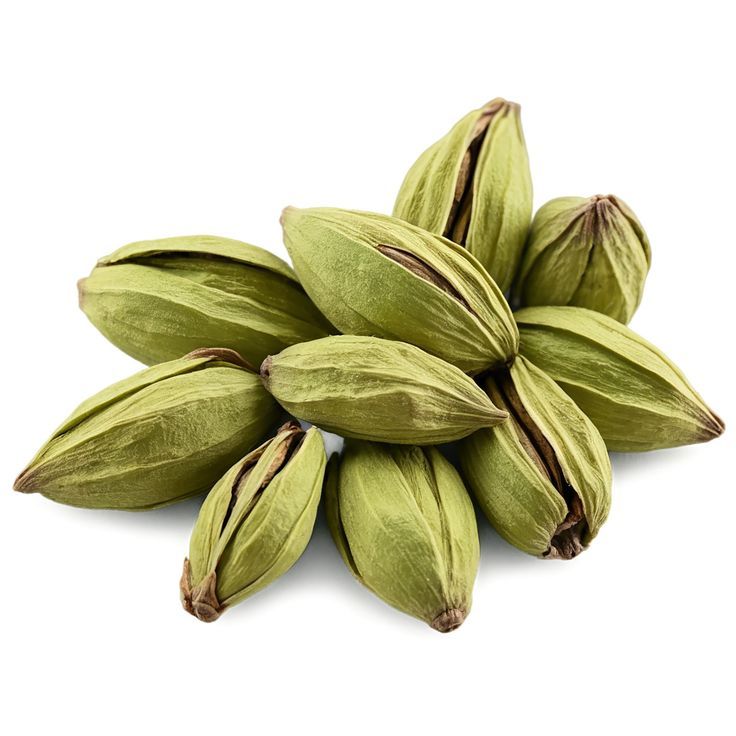Cardamomo