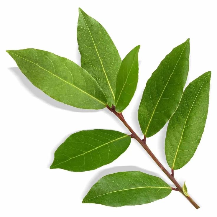 Ládano